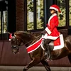 Santa Hat for Horse Equestrian Christmas  Horse Fly Ear Bonnet for Christmas Parade Horse Costume Holiday One Ear Slip On 6