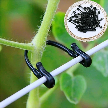 Vines Fastener Plastic Tied Buckle Hooks Gardening Grape Support Vegetable Strapping Clips Fixed Buckle Hook Plant Holder