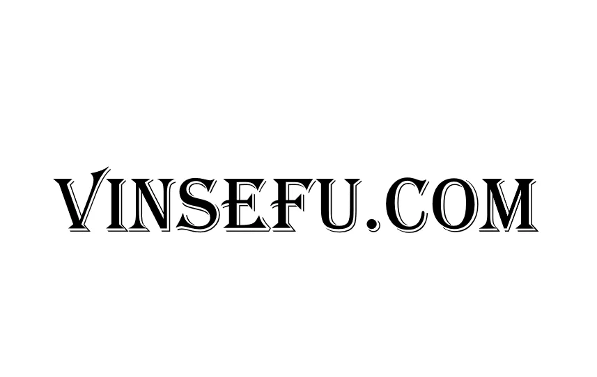 vinsefustore Store