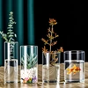 Small Glass Flower Vase Glass Cylinders Vase Florals Container, Flower Vase Delicate Decorative Vase for Offices Home 3