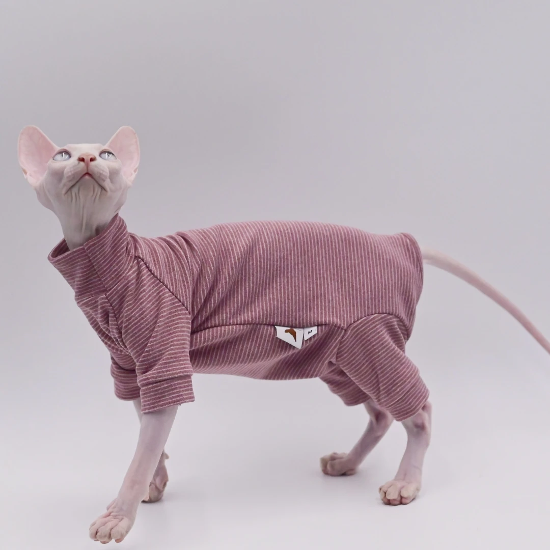 Sphynx Cat Sweatshirt — Lounge Four-Leg Hoodie