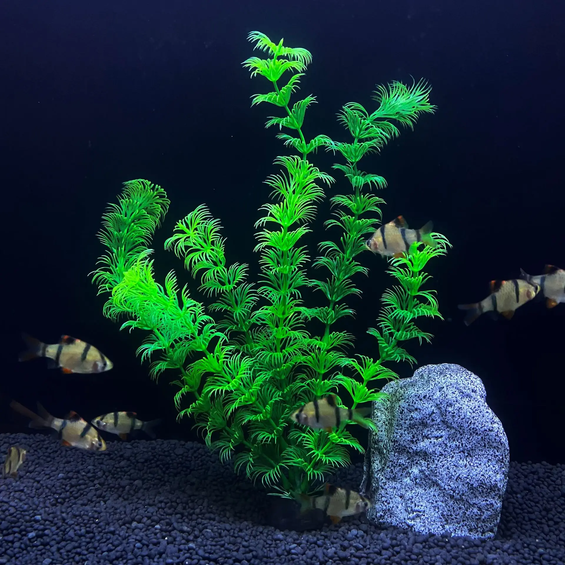 CNZ Künstliche Aquarienpflanze – Lebensechtes Wassergras, 22,9 Cm, Mit Keramikbasis