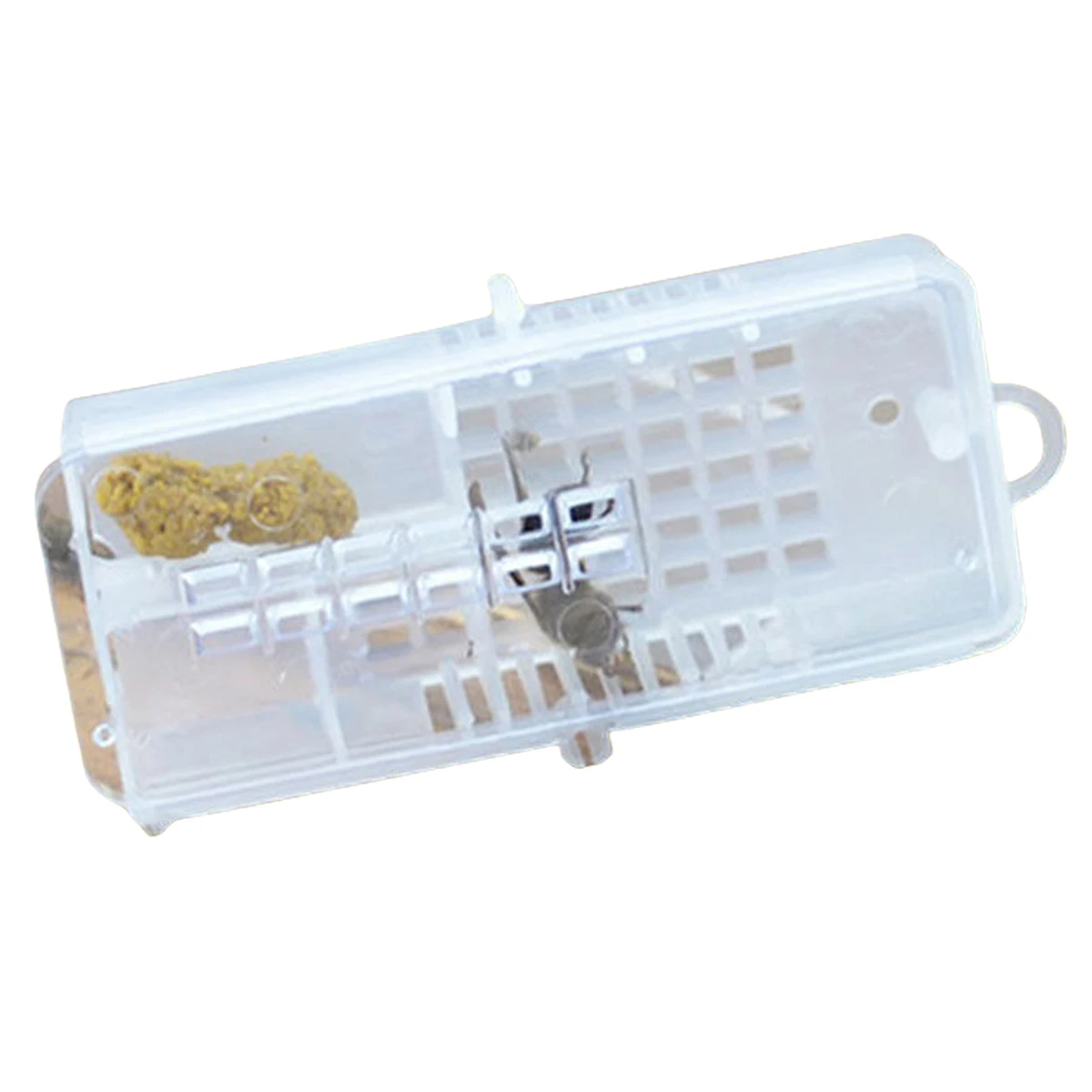 10Pcs Transparent Queen Bee Cage Plastic Large Size Multifunctional Box Queen Bee Escape Prevention Frame Beekeeping Supplies