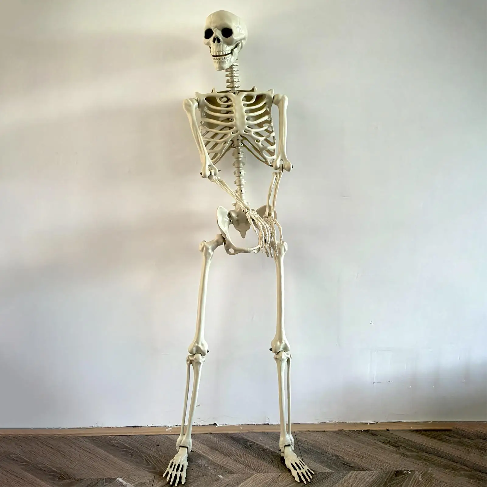 Halloween realistische Körperknochen lebensgroßes menschliches Skelett mit beweglichen Gelenken Simulation Schädel Ornament Spukhaus Horror Requisiten
