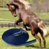 Horse Dog Training Leash Super Strength Webbing Long Line Heavy Duty Horse Rope Lead for Small Medium Large Dogs Horse Training 6