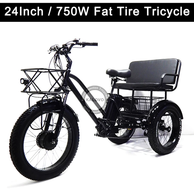Bicicleta eléctrica con neumáticos anchos para adultos, triciclo de carga  con asientos traseros y cesta de 3 ruedas, 24 pulgadas, 750W - AliExpress