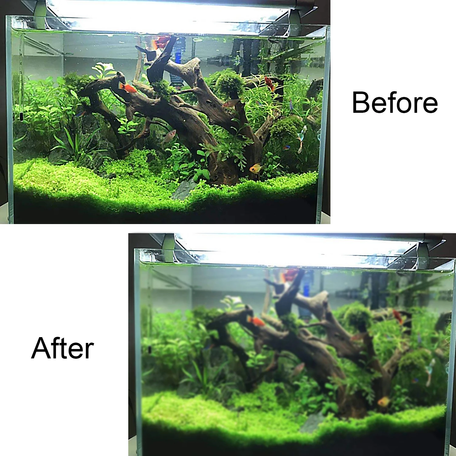 500g Freshwater Saltwater Aquarium Fish Water Tank Pond Bacteria Biological Filter Balls Media Ceramic Rings