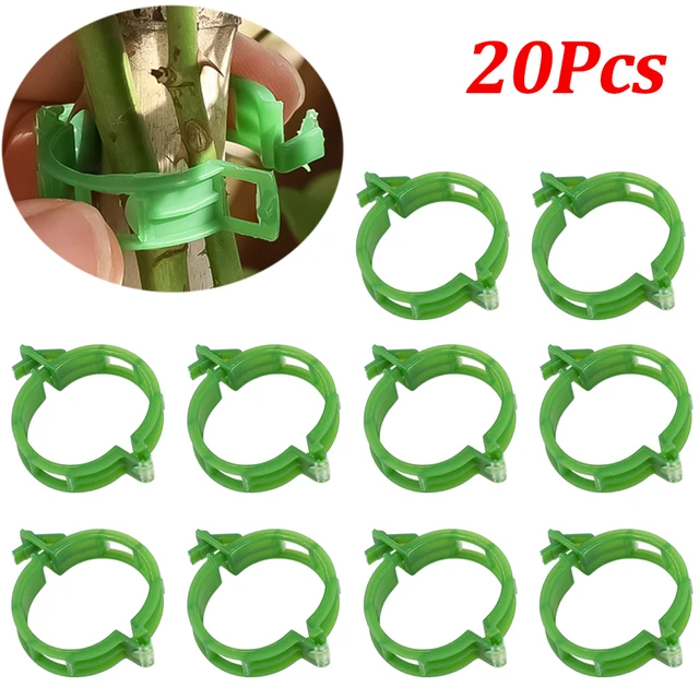 Green-20pcs
