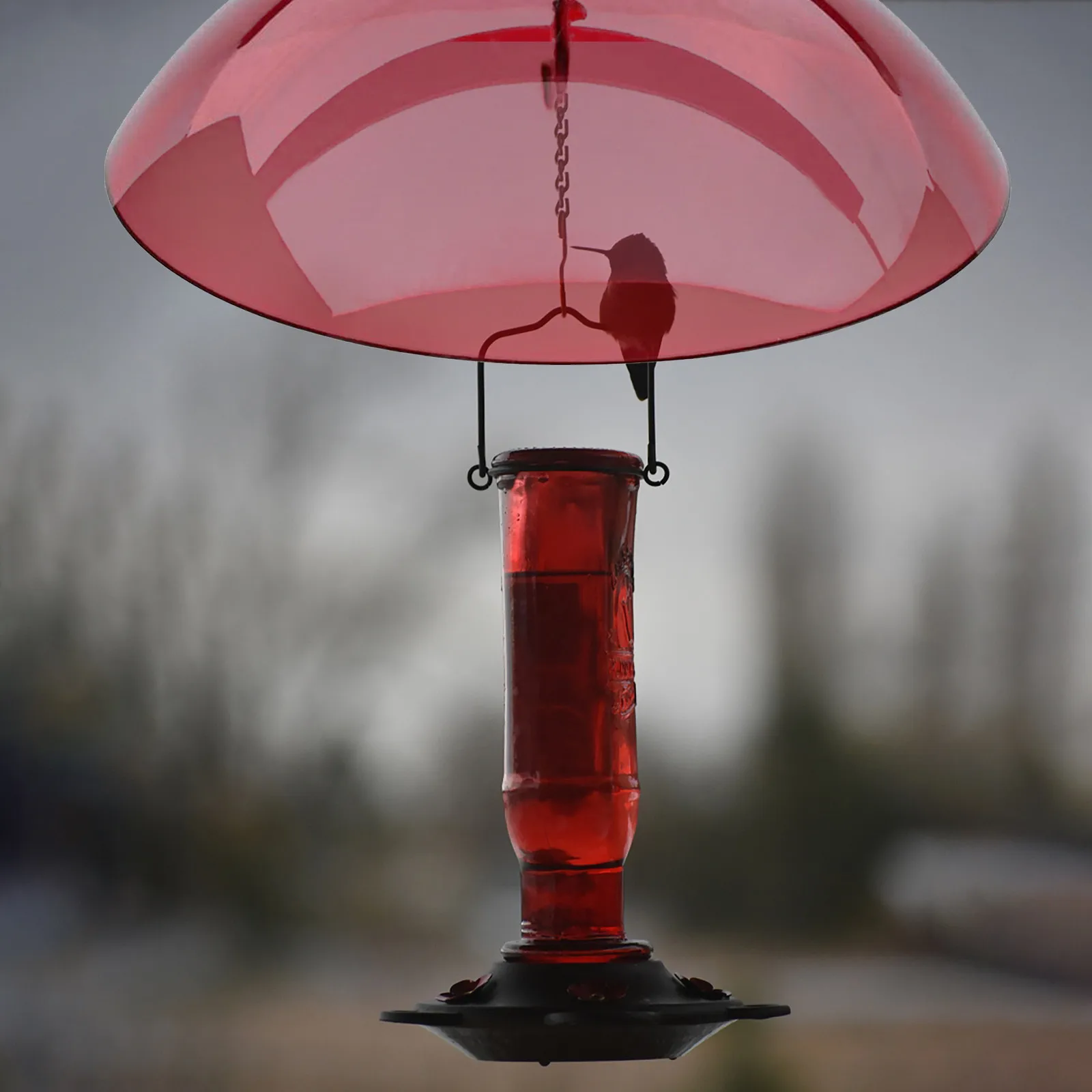 Bird Feeder Anti-Squirrel Bird Feeders Protective Cover Dome Rain Cover Hanging Feeders