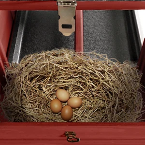 chicken coop