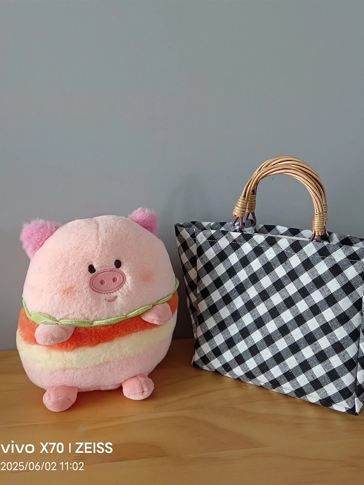 Simple Canvas Women Handbag High Quality Fashion Shoulder  small Single Shoulder Messenger Bag Shopping Bag