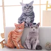 Cute Simulation Cat Plush Doll Pillow 3D Three-dimensional Cat Sleeping Pillow Sofa Cushion Nap Pillow 4