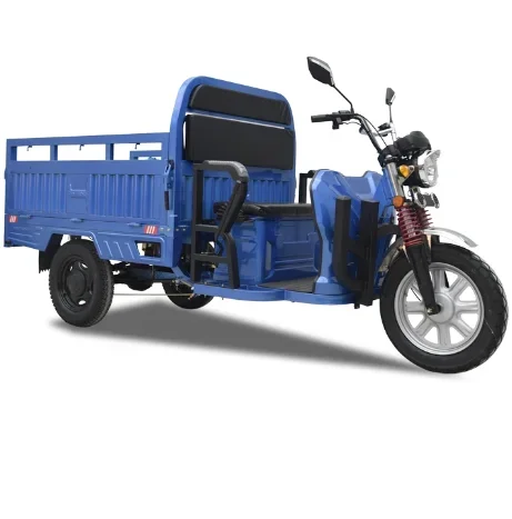 Cheap e-Trikes wheel Cargo Electric Tricycles Motorcycle Three