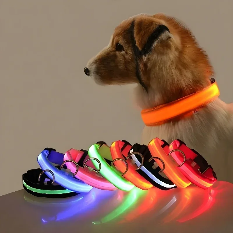 LED Nylon Dog Collar 1