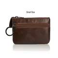 Small darkbrown