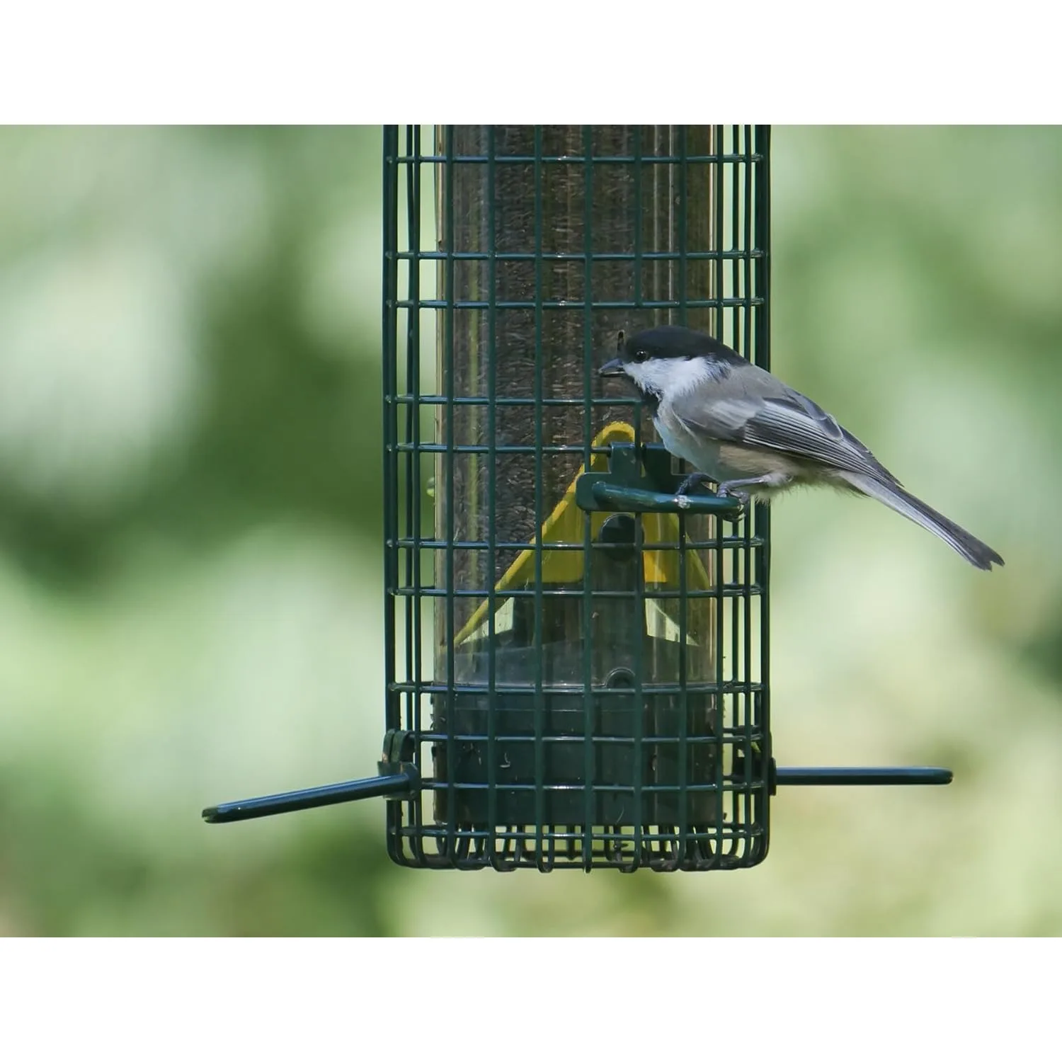 Squirrel Buster Finch Squirrel-proof Bird Feeder W/4 Metal Perches & 8 Feeding Ports 2.4-pound Thistle/Nyjer Seed Capacity