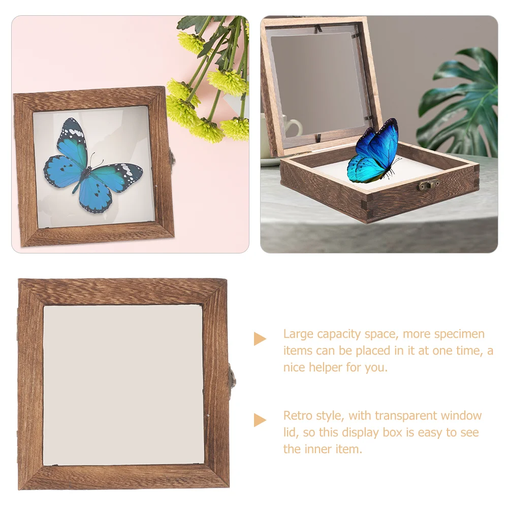 Acrylic Wood Specimen Display Box display case Vintage Insect Case Transparent Lid Jewelry Storage Frame