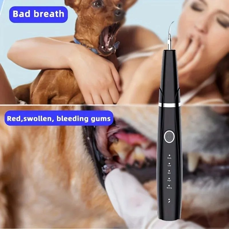 Pet Ultrasonic Scaler Pet electric scaler ultrasonic USB scaler 2 cleaning heads 4 modes home calculus remover gum care set