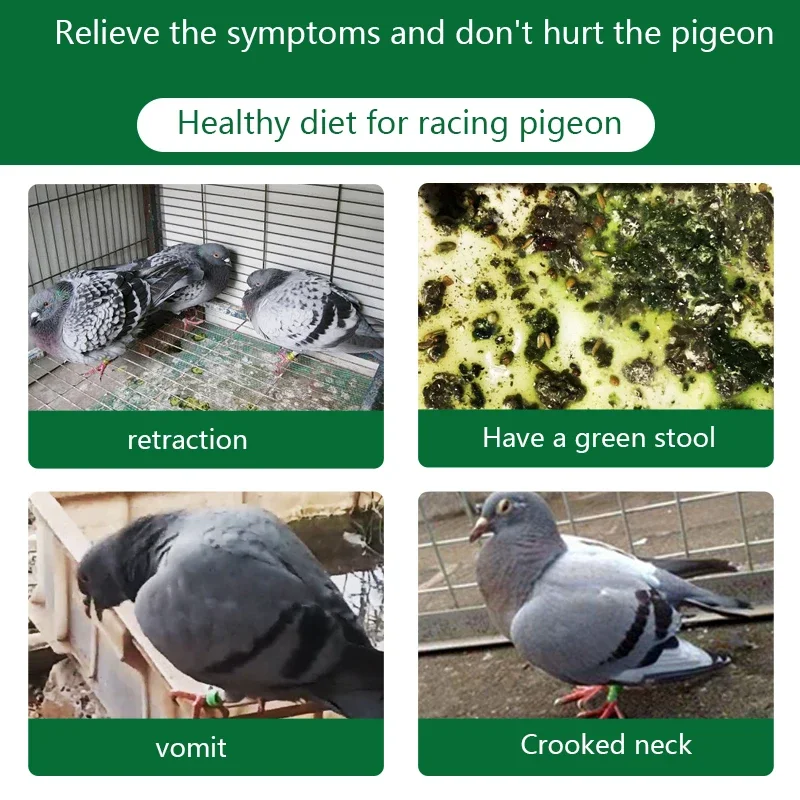 Pigeon Disease Treatment Pigeon New Service Special 5gx20 Bags Shrink Head Pull Dilute Water Green Stool Vomiting Crooked Neck Probiotics