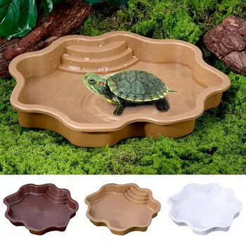 Turtle Bathing Pool 1