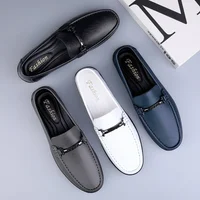 Luxury Brand Mens Loafers Fashion Spring Autumn Casual Shoes New Comfy Men Driving Flats Genuine Leather Moccasins Walking Shoes 2