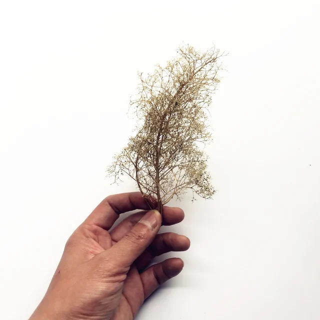 Model simulation tree scene vegetation thorns quinoa military scene sand table building model DIY production materials 4