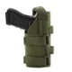 Holster Green