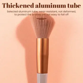 Blush and Eye Shadow Brushes