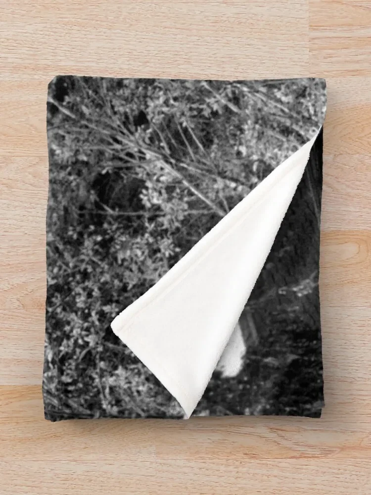 ������ �Ͽ콺 ��� ������ ������ ���,  ���� ������ ���� ���