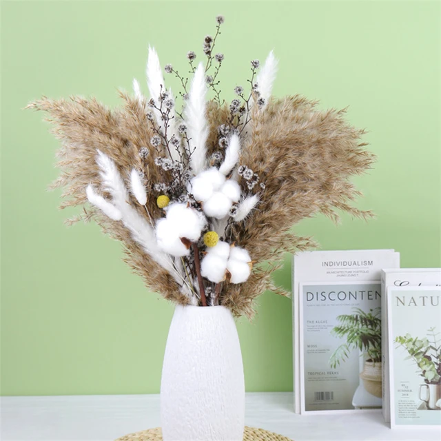 Pampas Grass Natural Dried Flower Black  Artificial Flower Decoration -  White Grass - Aliexpress