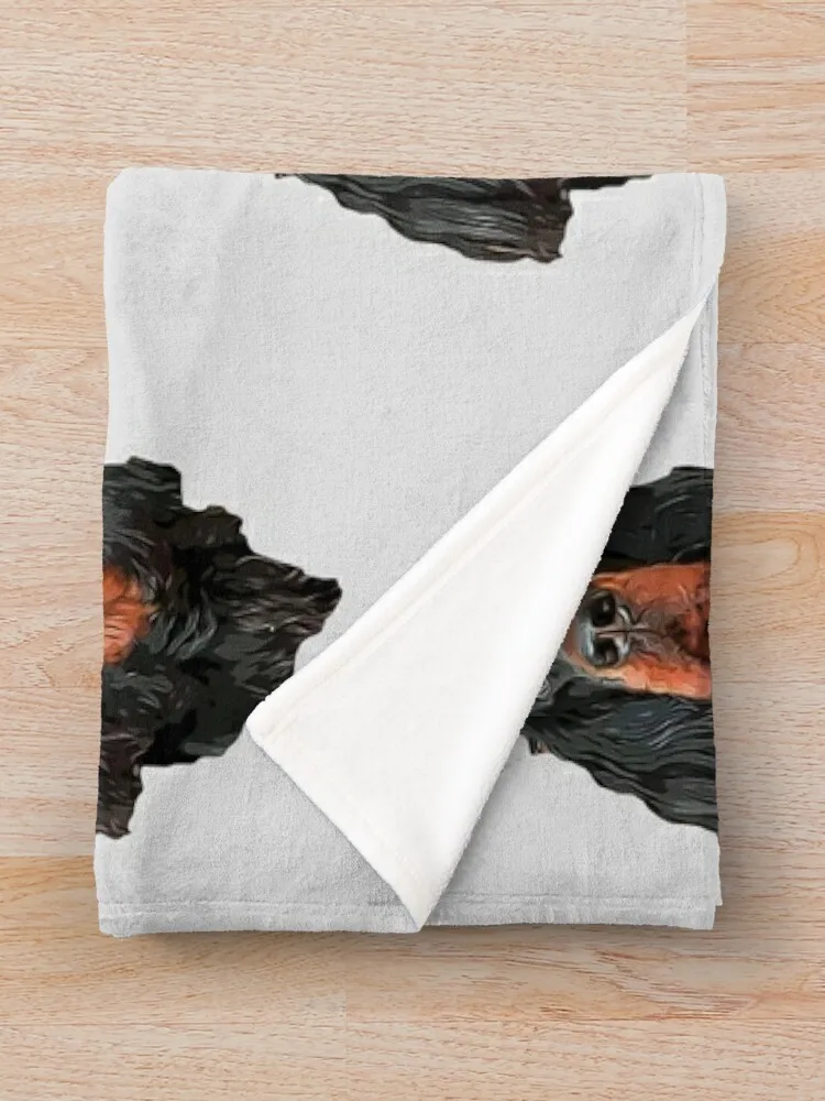 Gordon ����-���� ������ �ʻ�ȭ ��� �ʴ��� ������ ���, �ʸ� ���� �ö��� ķ�� ���