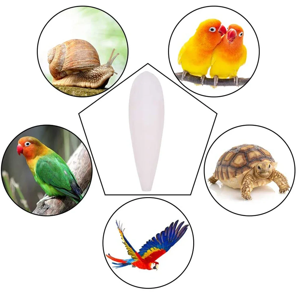Bone Cuttle Fish Bird Food Pick Stone Pet Parrot Calcium Supplements Chewing Cuttlefish Bone Pet Bird Cage Food Decoration pet mineral supplement bird food