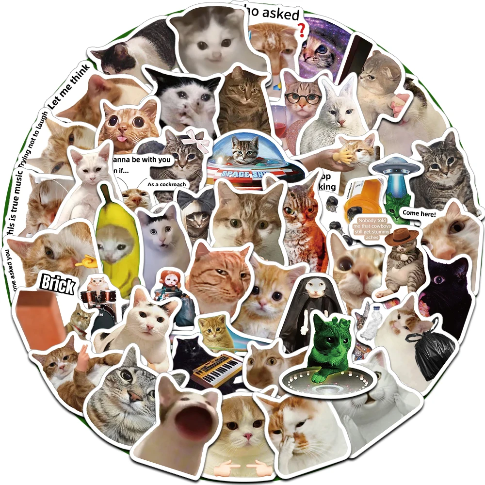 50PCS 재미 재미 있은 인기있는 고양이 스티커 MEME 크리 에이 티브 방수 PVC 장식 물 컵 노트북 전화 케이스 DIY 데칼