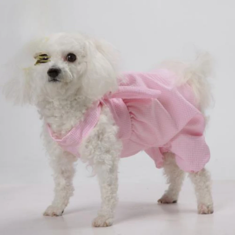 Cute Pet Skirts Spring and Summer New Puppy Clothes Teddy Pomeranian Cartoon Funny Creative Pumpkin Plaid Culottes