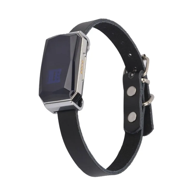 Smart GPS Pet Tracker Collar Real-Time Tracking 5m Accuracy IP67 Waterproof 10-Day Battery Geofence Alerts Dogs Cats Positioning