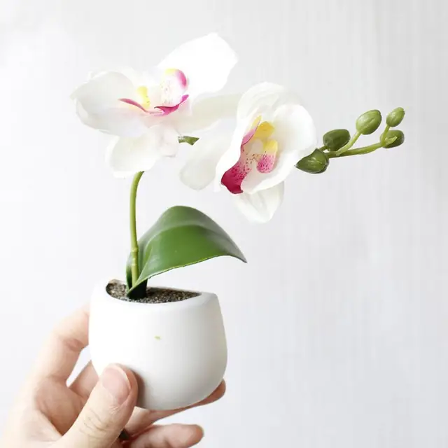 Aimant Frigo Plante Artificielle En Pot - Décoration Magnétique 3D Liège - Pour Bureau, Cuisine, Déco Intérieure