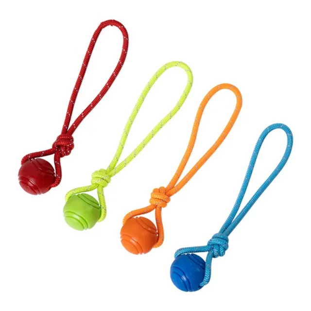 Natural Non-toxic Pet Dog Rubber Ball: A Fun and Safe Toy for Your Furry Friend