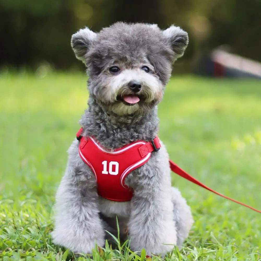 

Adjustable Dog Harness Leash Set Reflective Breathable Cat Chest Strap Sporty Style Puppy Vest Harness Outdoors
