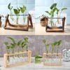 Transparent Glass Vase Wood Frame Iron Art Terrarium Bonsai Table Ornaments Flower Vase Tabletop Hydroponics Plant Flower Pot 1