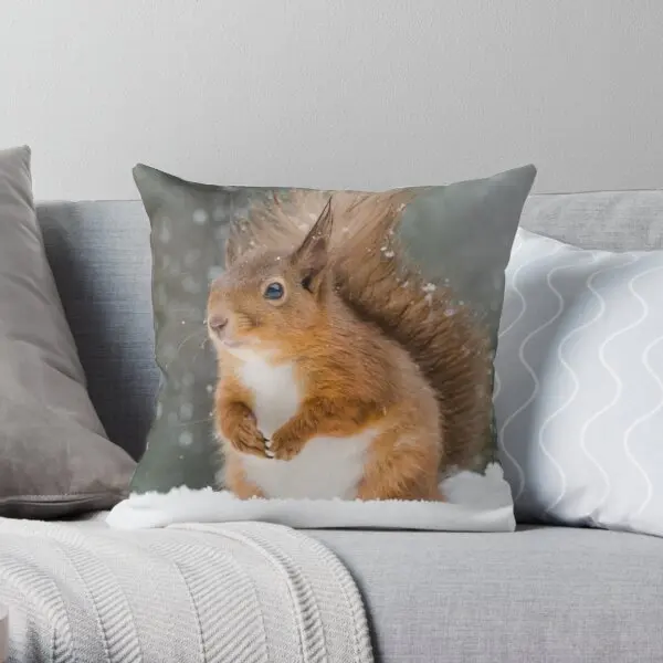 

Cute Red Squirrel Printing Throw Pillow Cover Sofa Wedding Fashion Bed Cushion Car Decor Bedroom Pillows not include One Side
