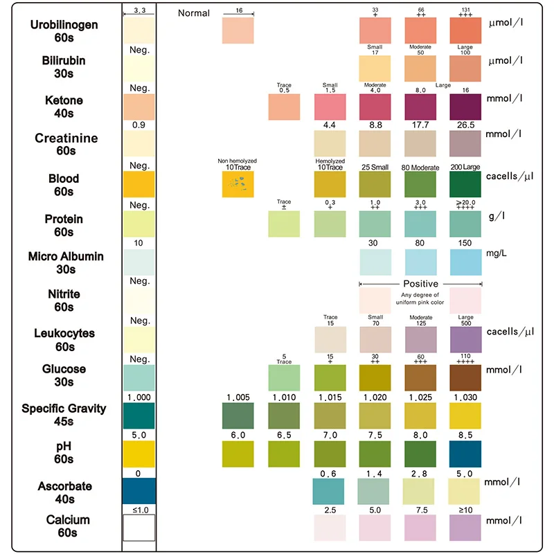 Description Picture 2 of item14 Parameter Urine Test Strip for Urinary Tract Infection, Test Ketone, pH, Leukocytes, Creatinine, Glucose Individually Packed