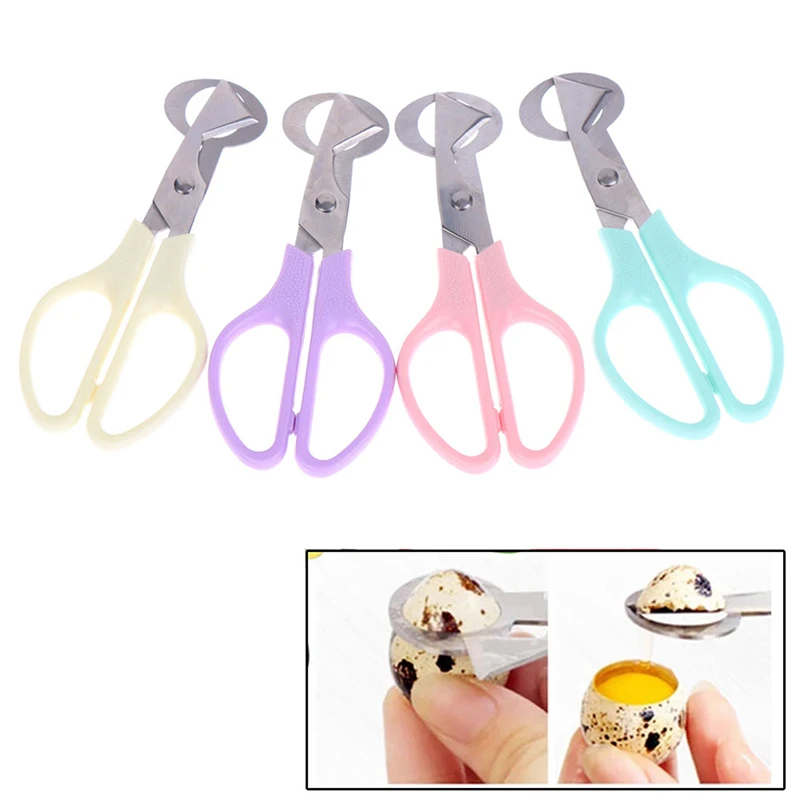 Egg Slicer Egg Shell Scissors Quail Egg Scissors Bird Egg Scissors Stainless Steel Cutters EggShell Cutters Opener Kitchen Hand Tools