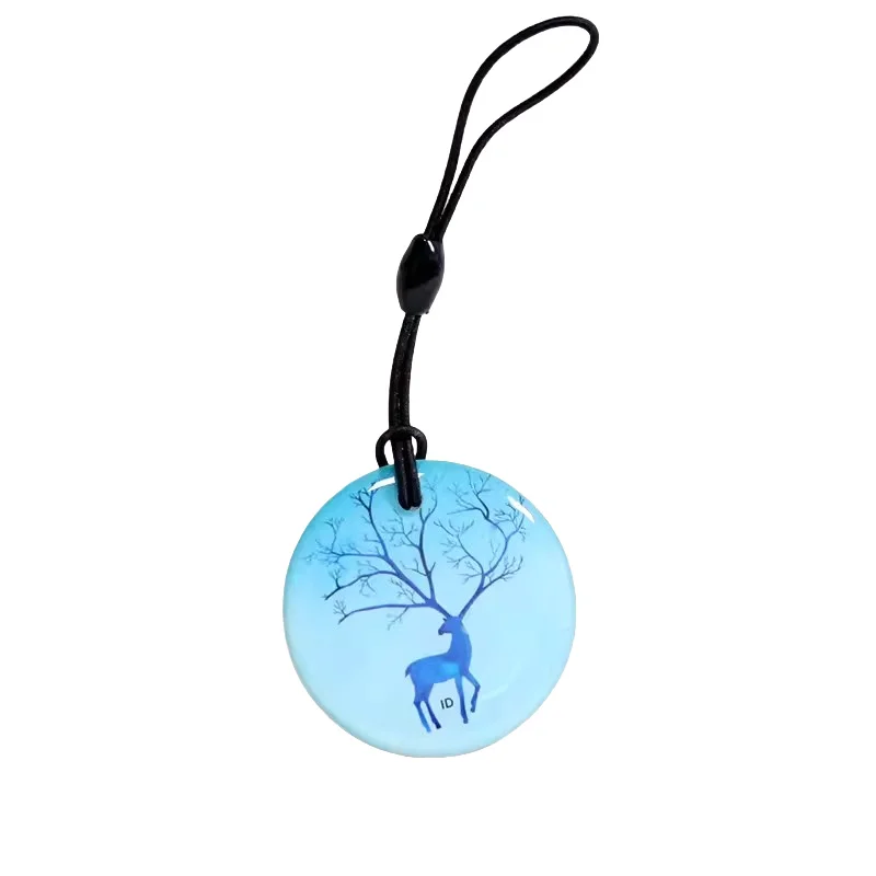 Versatile 13.56MHz Rewritable NFC RFID Card & Keychain Tags