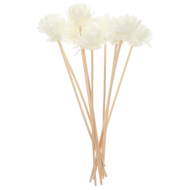 10 Pcs Perfume Diffuser Stick Sticks with Bottle Rattan Aroma Fragrance for Home Diffusers Aromatic