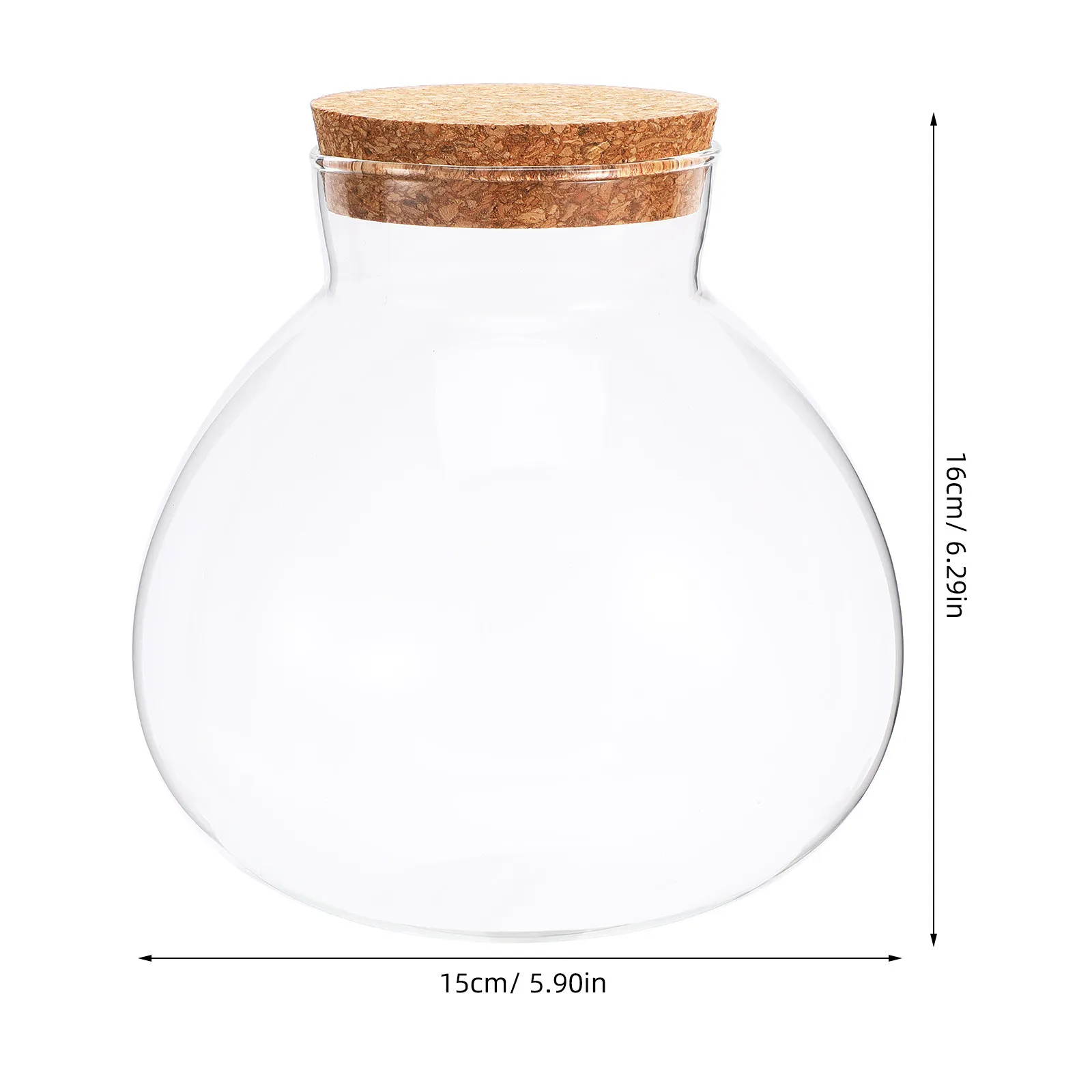 Glass Terrarium Bottle Vase 6