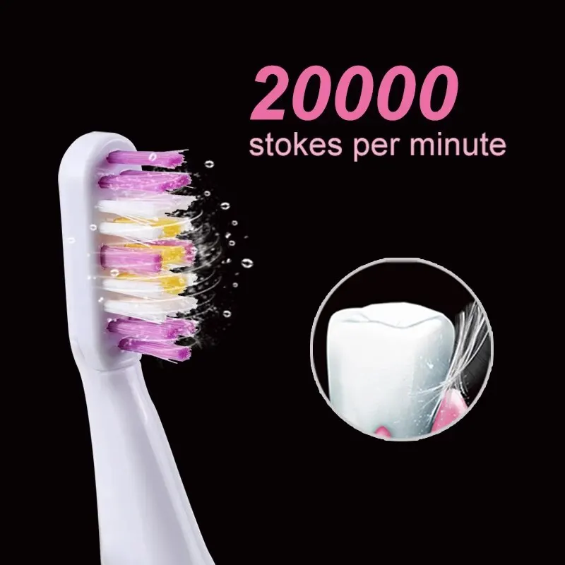 Electric Toothbrush Electric Toothbrush Portable Adult Travel Business Battery Teethbrush Holder 2 Spare Brush Heads Waterproof New Design SG916