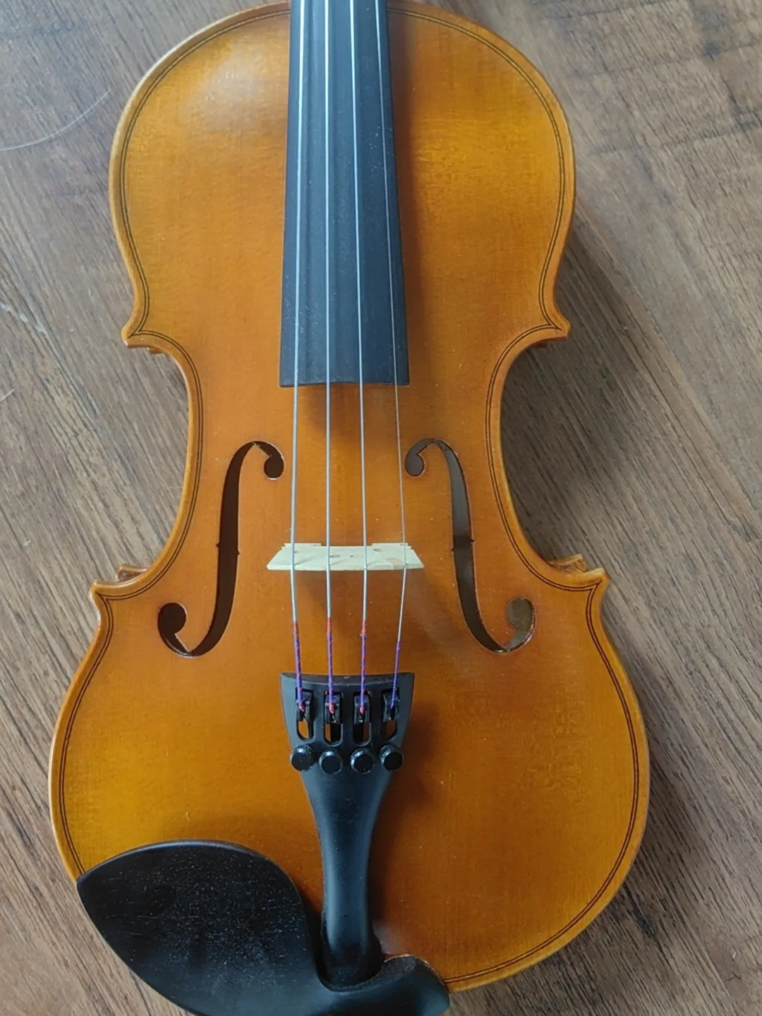 1/2 size Violin for Kid One Piece Back Strad Model Warm Balance Tone