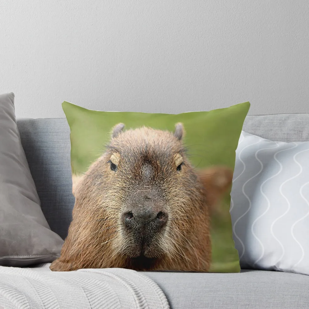 

Portrait of a rather handsome capybara Throw Pillow pillow cover luxury covers for pillows bed pillows Cushions Cover