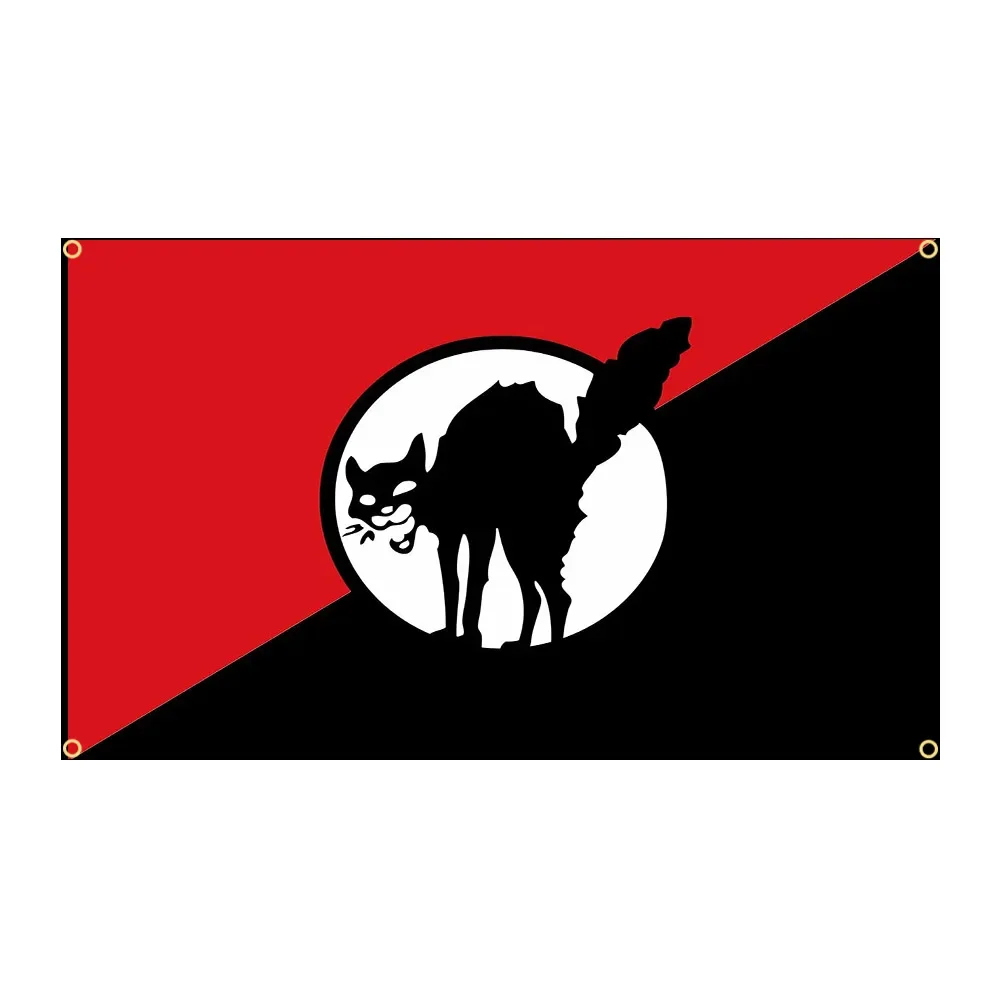 FLAGDOM 90x150cm 3x5 Ft Anarchist Black Cat Flag for Decor Anarchy Star Flag(Anarchy Flag)