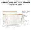 4-in-1 Convertible Crib in Light Sage and Honey, GREENGUARD Gold Certified 2